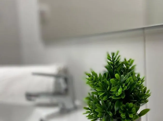 & O Da Meiga * Padrón